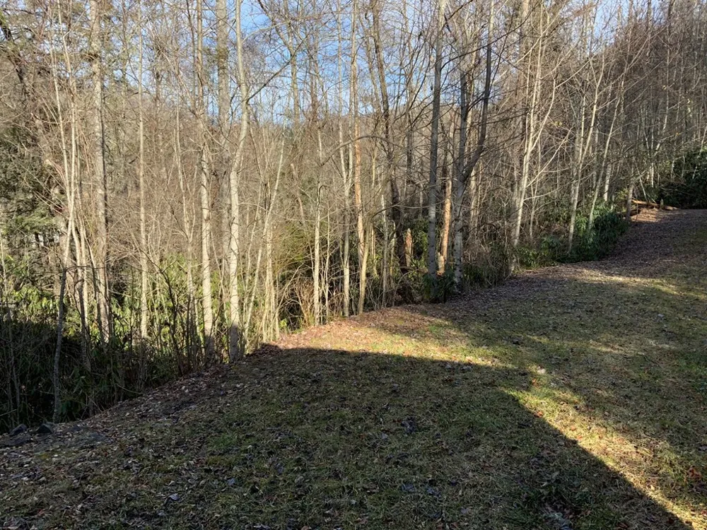 60 Porterfield Gap Road Robbinsville, NC 28771