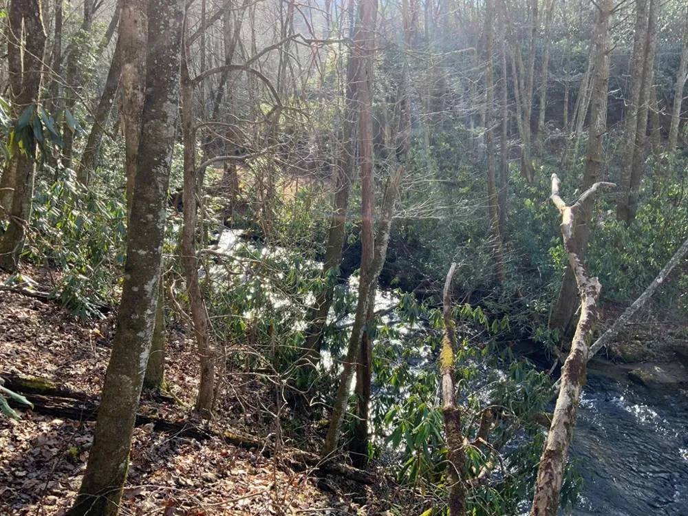 60 Porterfield Gap Road Robbinsville, NC 28771