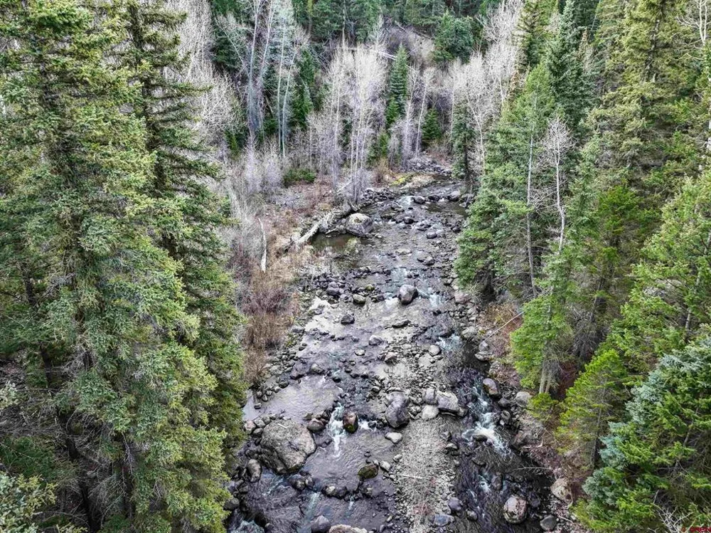 1354 County Road 858 Cimarron, CO 81220