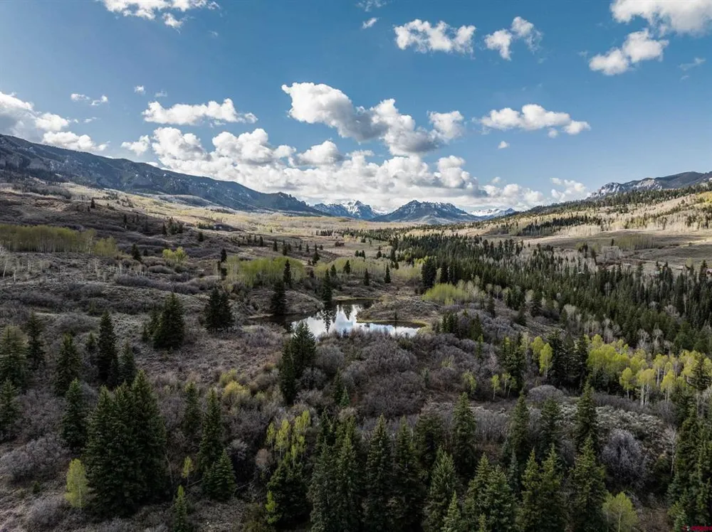 1354 County Road 858 Cimarron, CO 81220