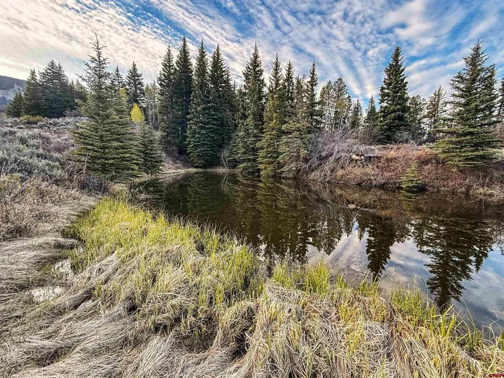 1354 County Road 858 Cimarron, CO 81220