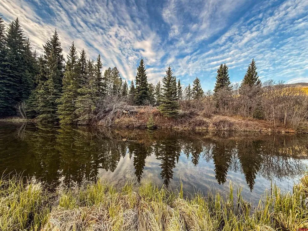 1354 County Road 858 Cimarron, CO 81220