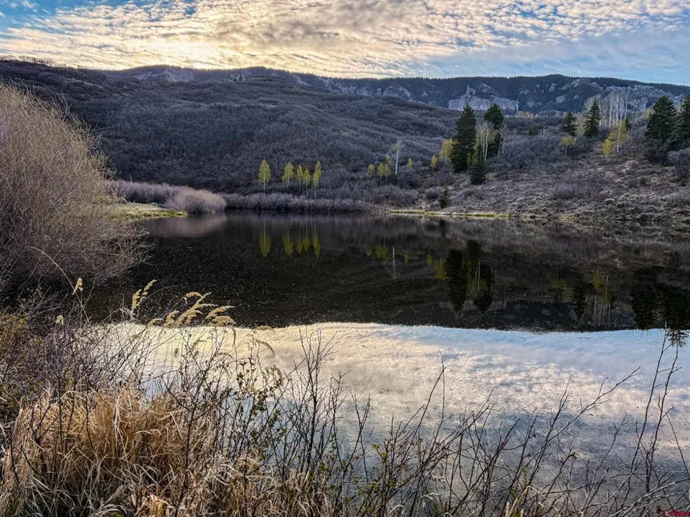 1354 County Road 858 Cimarron, CO 81220