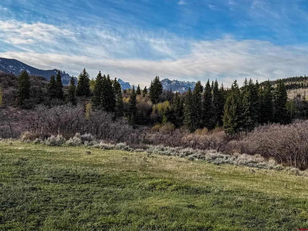 1354 County Road 858 Cimarron, CO 81220