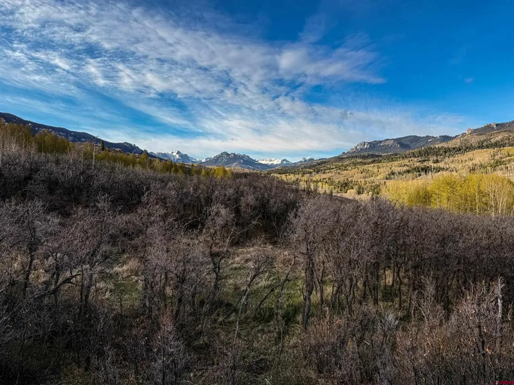 1354 County Road 858 Cimarron, CO 81220