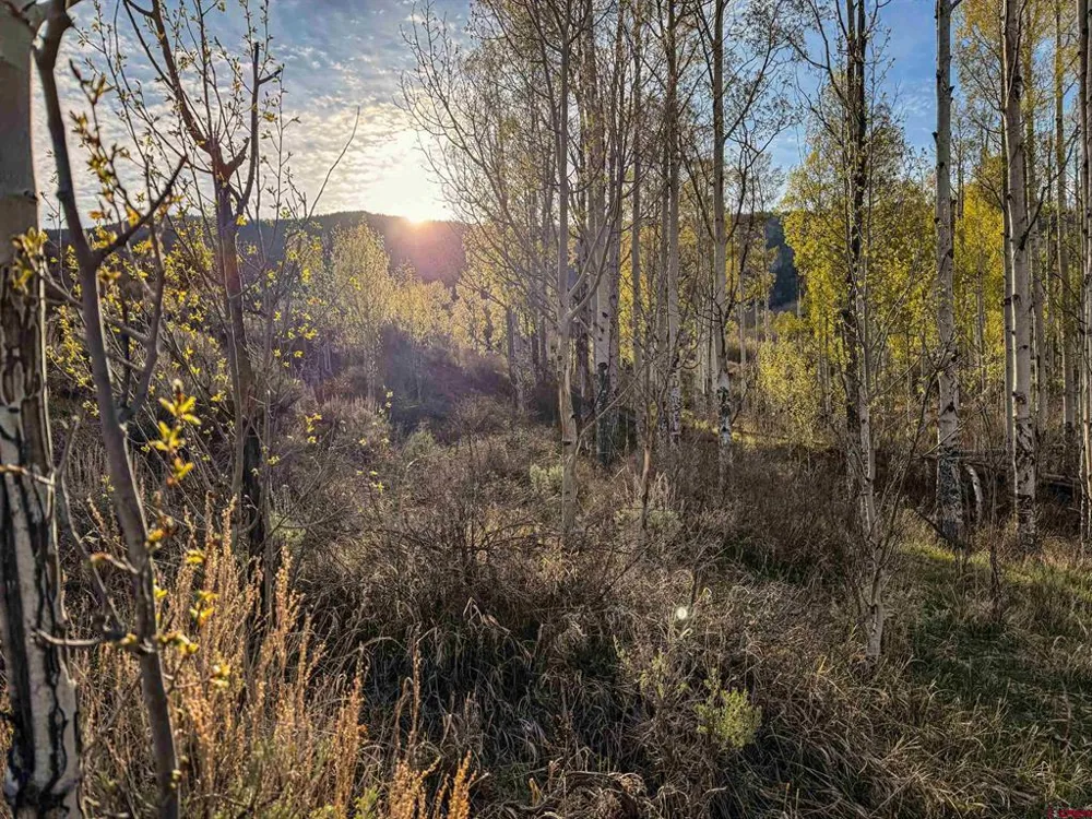 1354 County Road 858 Cimarron, CO 81220