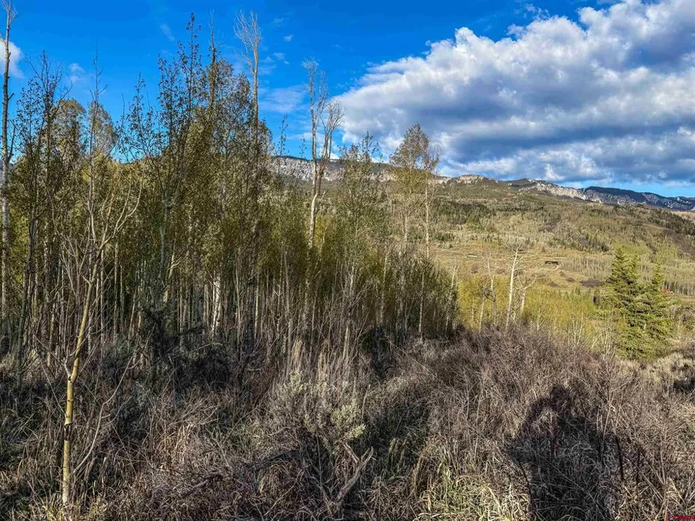 1354 County Road 858 Cimarron, CO 81220