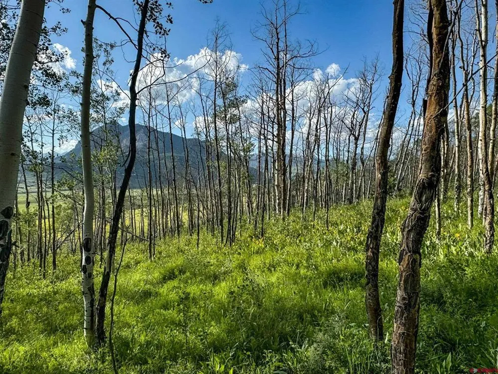 36 Paradise Lane Crested Butte, CO 81224