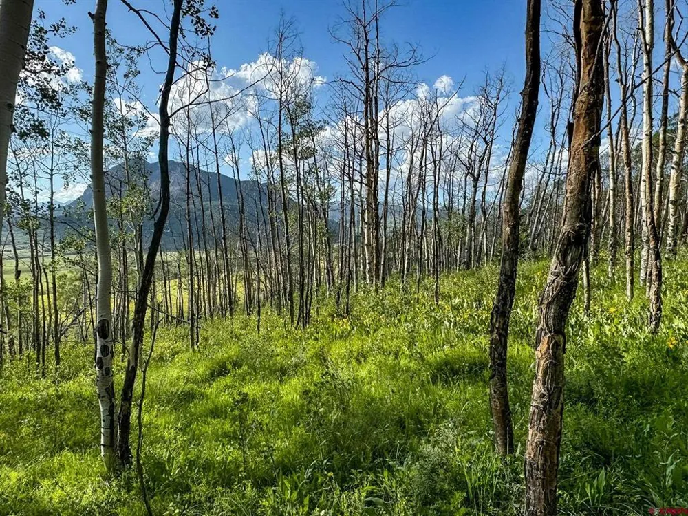 36 Paradise Lane Crested Butte, CO 81224