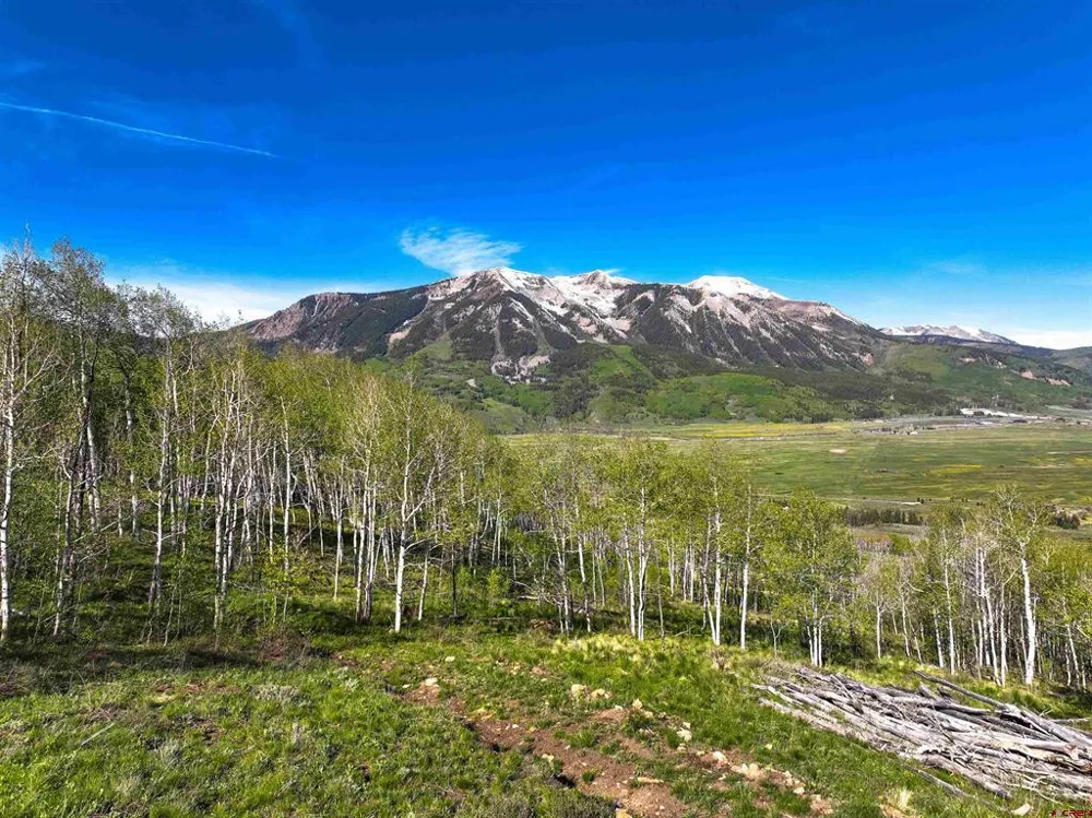 36 Paradise Lane Crested Butte, CO 81224
