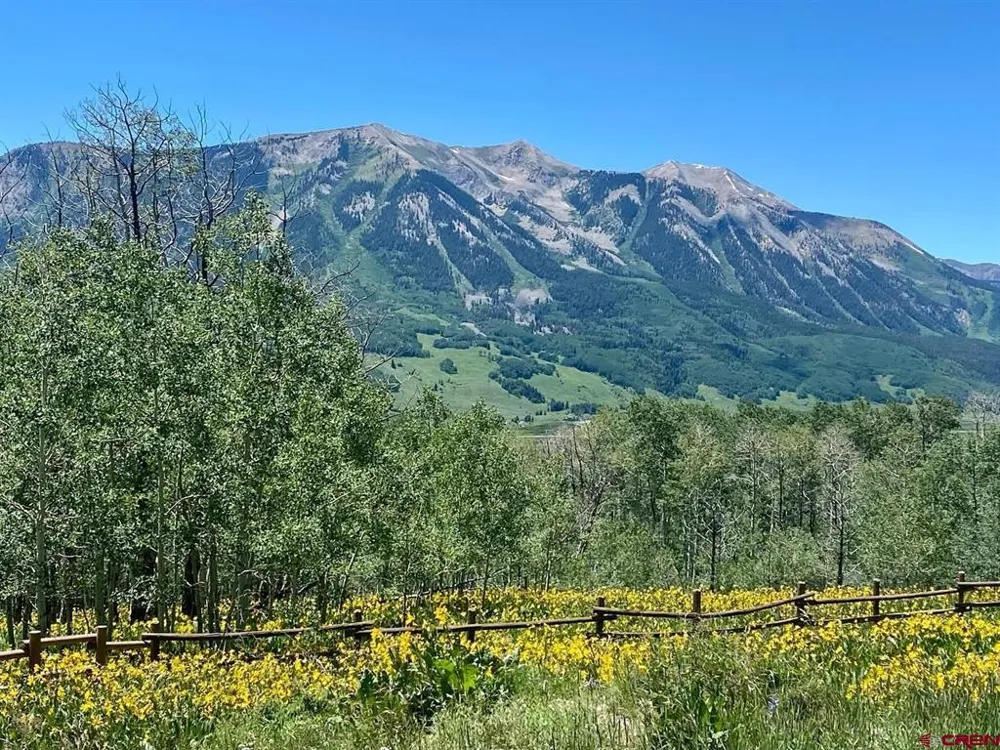 36 Paradise Lane Crested Butte, CO 81224