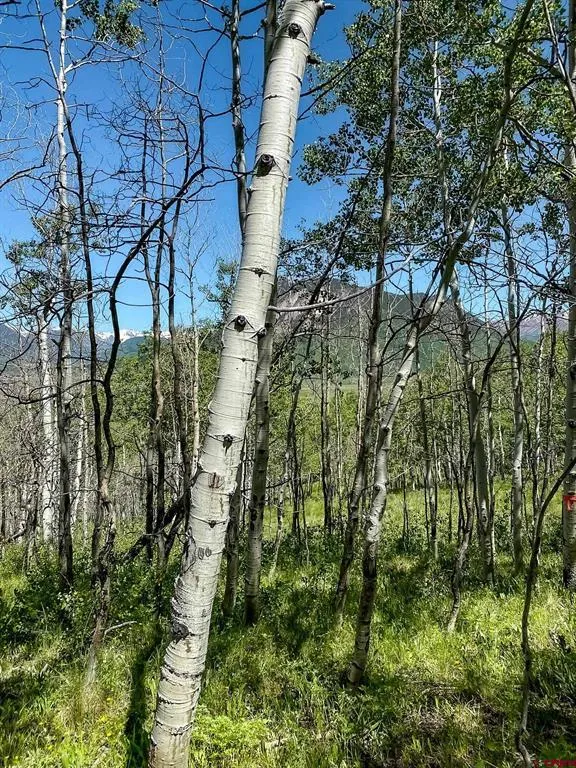 36 Paradise Lane Crested Butte, CO 81224