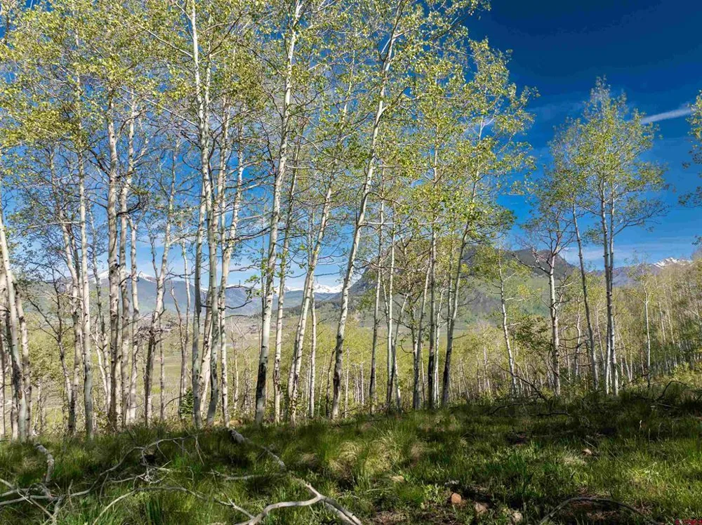 36 Paradise Lane Crested Butte, CO 81224