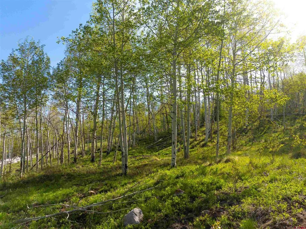 36 Paradise Lane Crested Butte, CO 81224