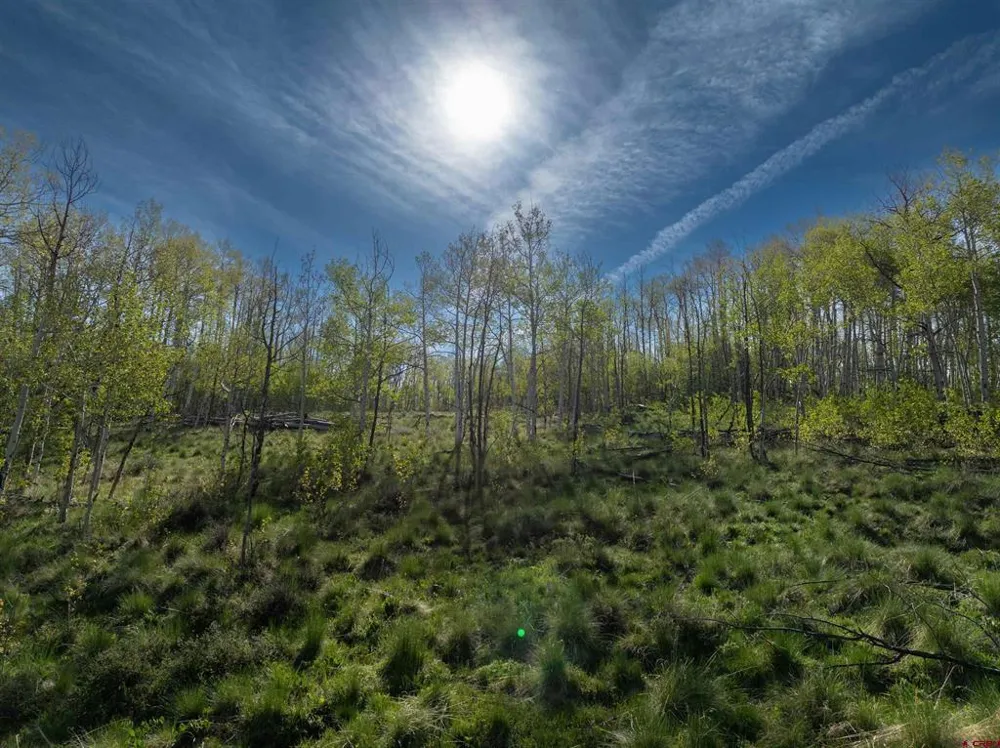 36 Paradise Lane Crested Butte, CO 81224