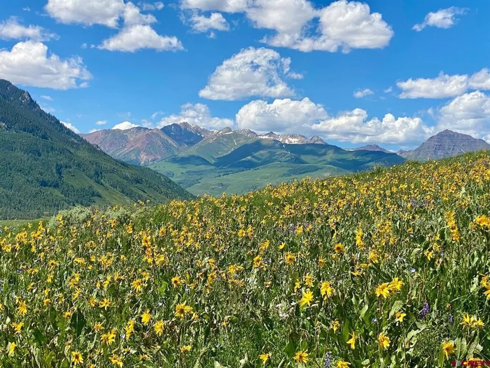 36 Paradise Lane Crested Butte, CO 81224