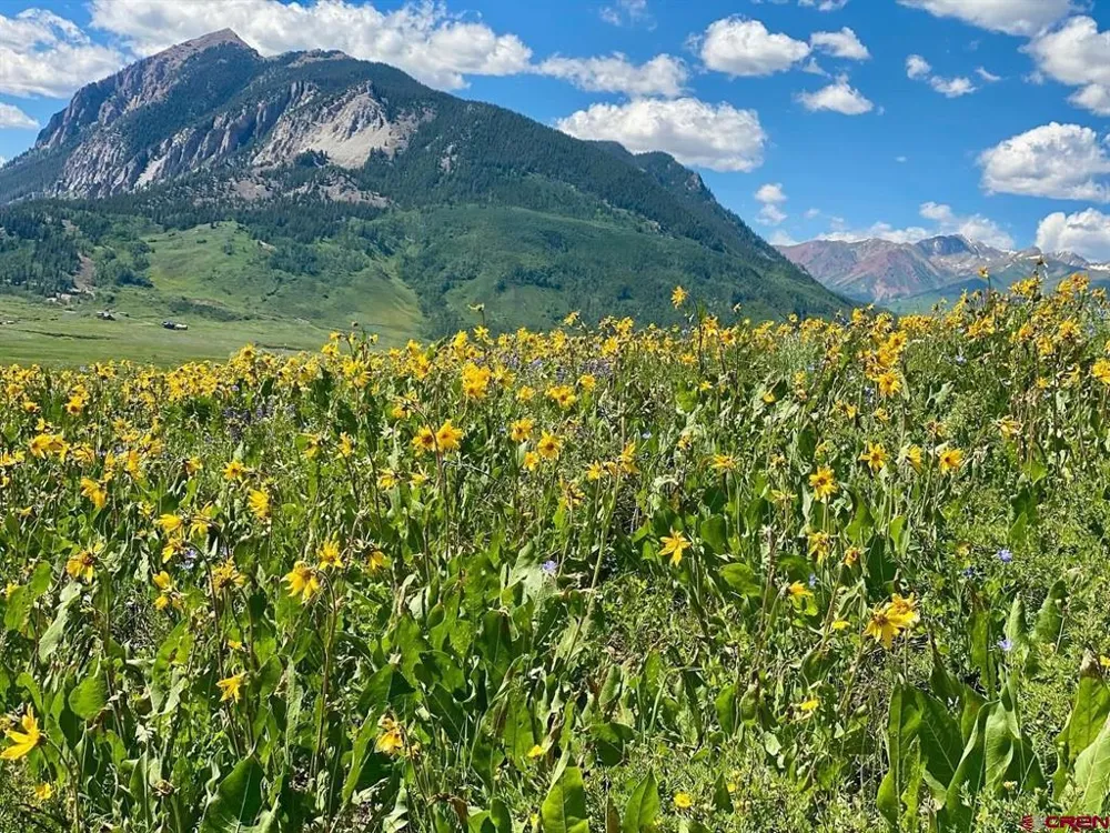 36 Paradise Lane Crested Butte, CO 81224