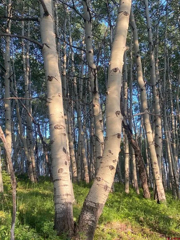 36 Paradise Lane Crested Butte, CO 81224