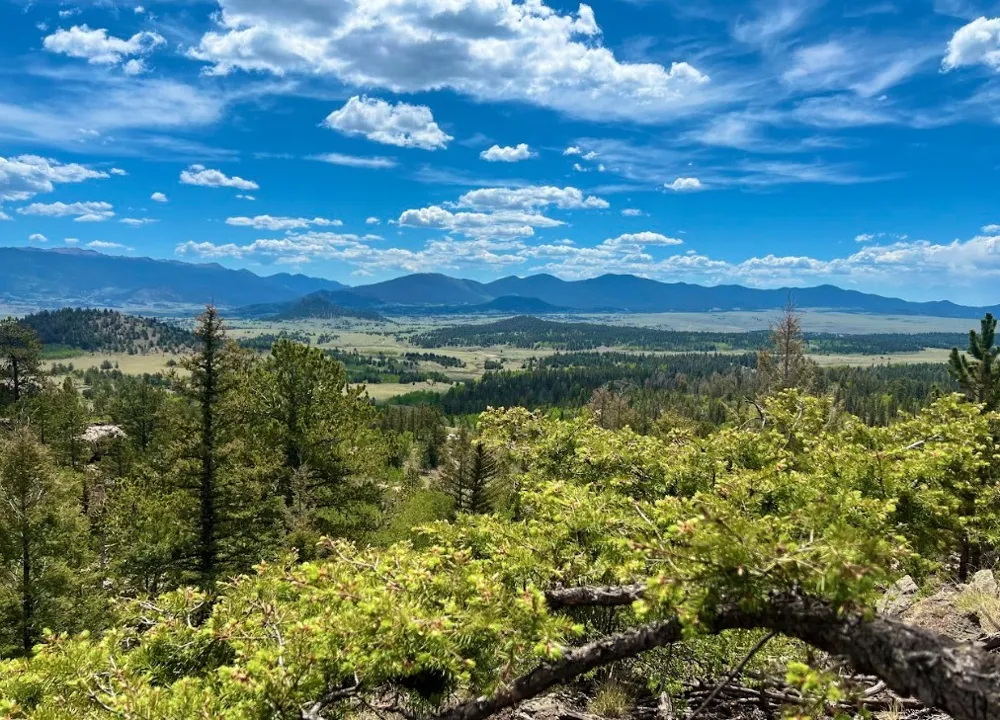 71 Red Cloud Drive Jefferson, CO 80432
