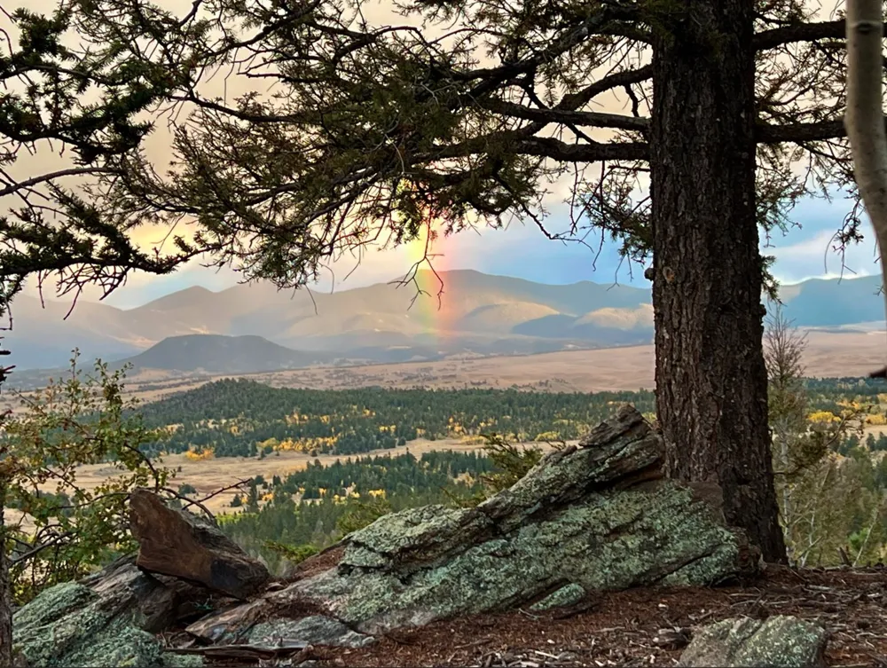71 Red Cloud Drive Jefferson, CO 80432