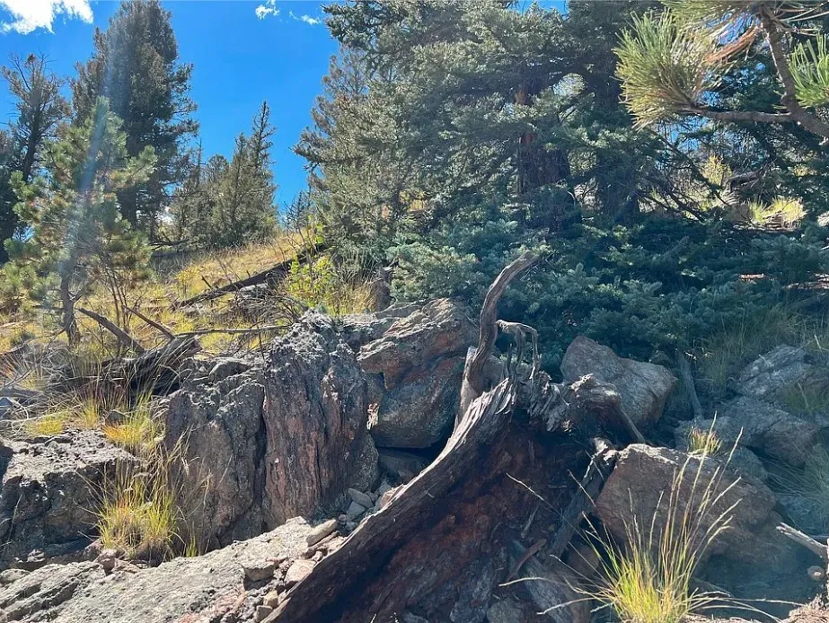 71 Red Cloud Drive Jefferson, CO 80432