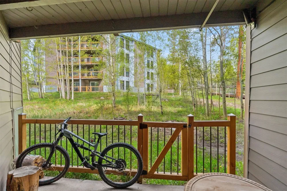 8100 Ryan Gulch Road #106 Wildernest, CO 80498
