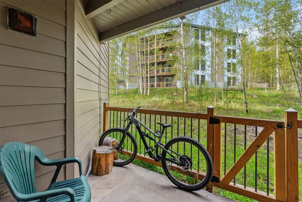 8100 Ryan Gulch Road #106 Wildernest, CO 80498