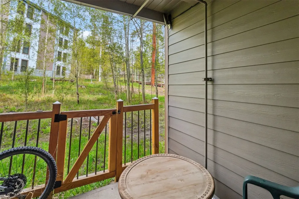 8100 Ryan Gulch Road #106 Wildernest, CO 80498