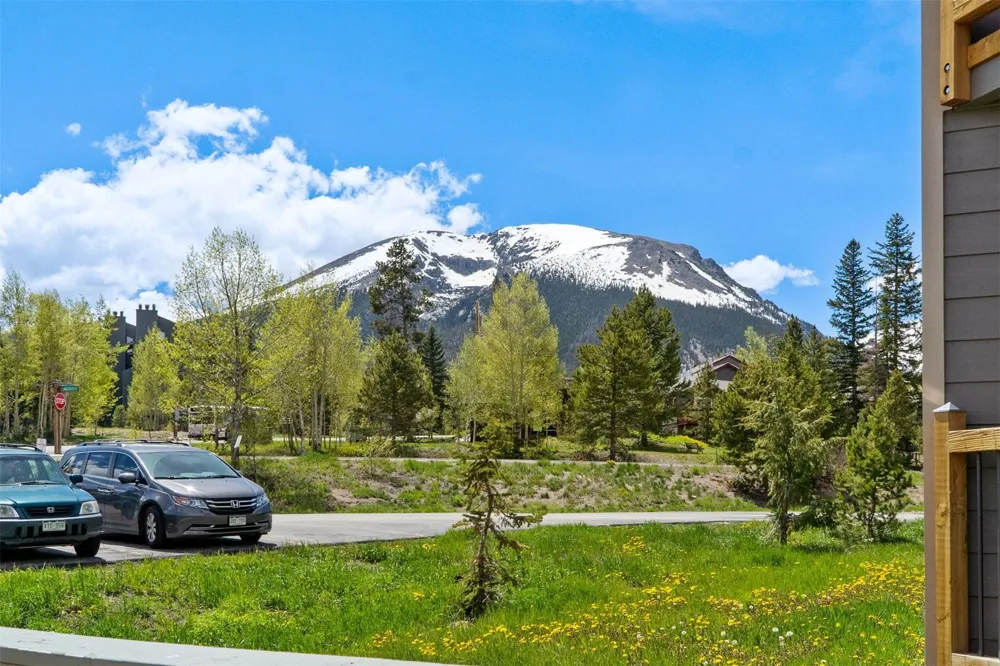 8100 Ryan Gulch Road #106 Wildernest, CO 80498