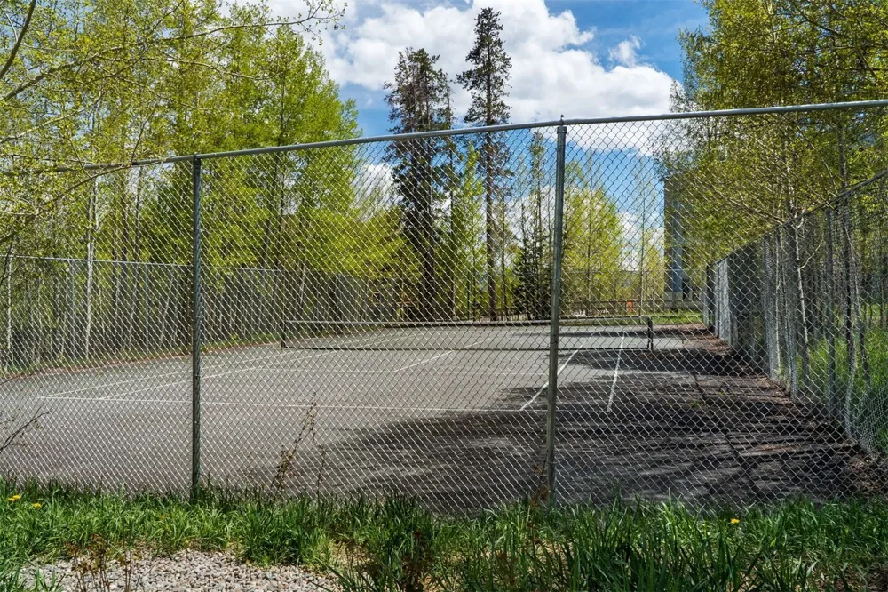 8100 Ryan Gulch Road #106 Wildernest, CO 80498