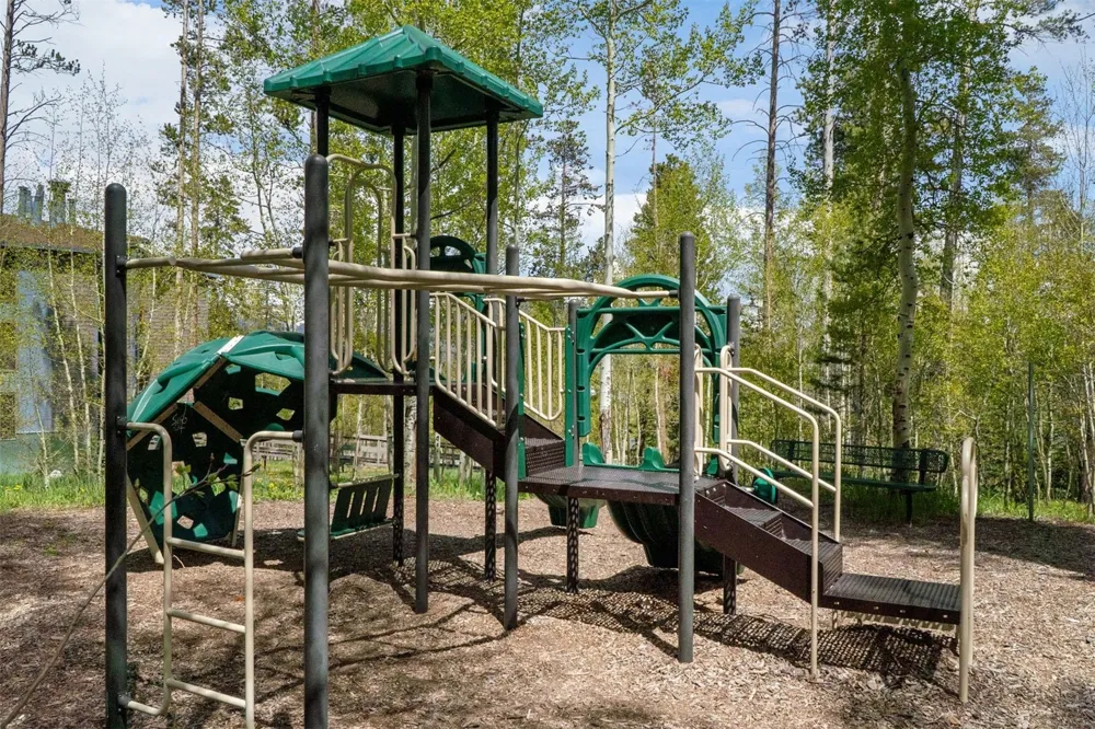8100 Ryan Gulch Road #106 Wildernest, CO 80498