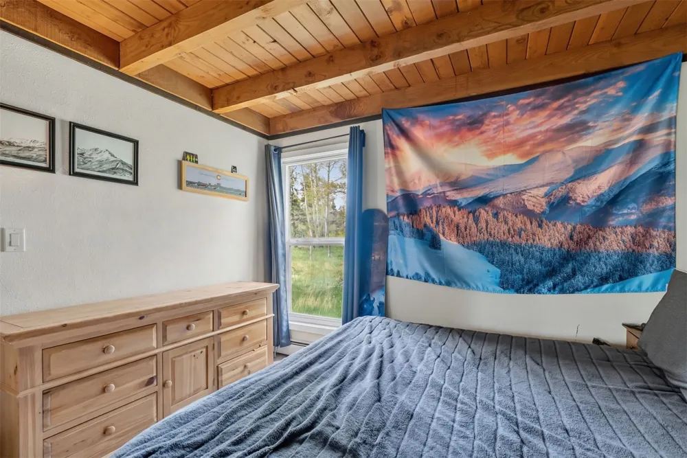 8100 Ryan Gulch Road #106 Wildernest, CO 80498