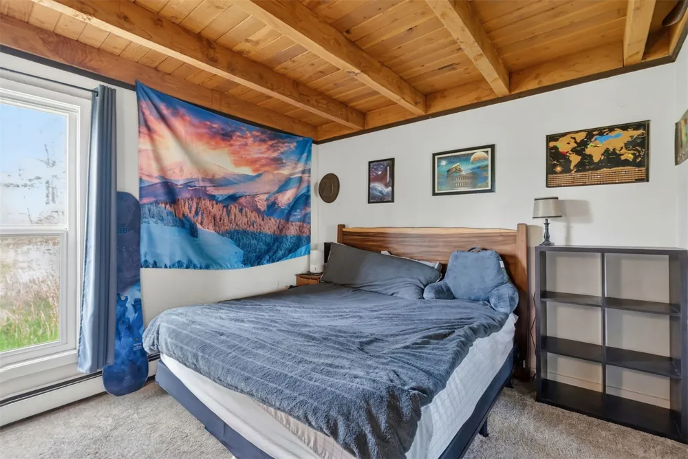 8100 Ryan Gulch Road #106 Wildernest, CO 80498