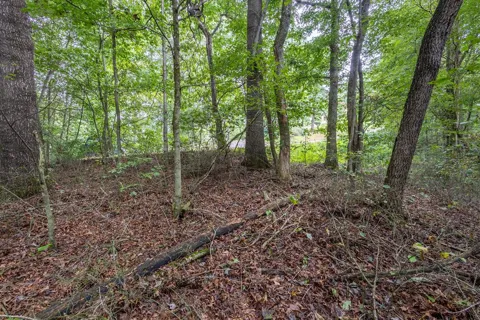 3 Ac Chestnut Flats Road