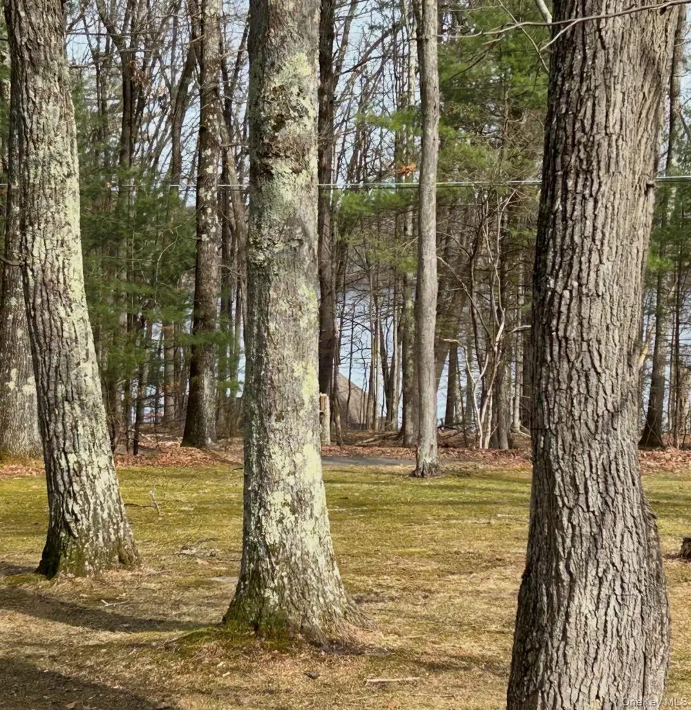 11 Fairway Drive Highland Lake, NY 12743