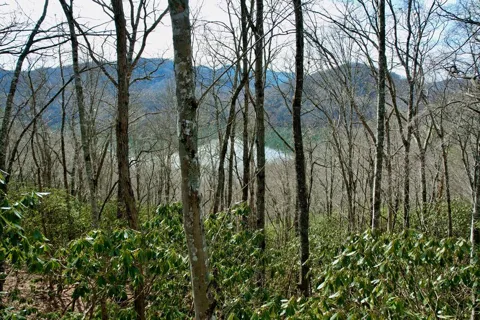 Lot#13 Holly Ridge Road