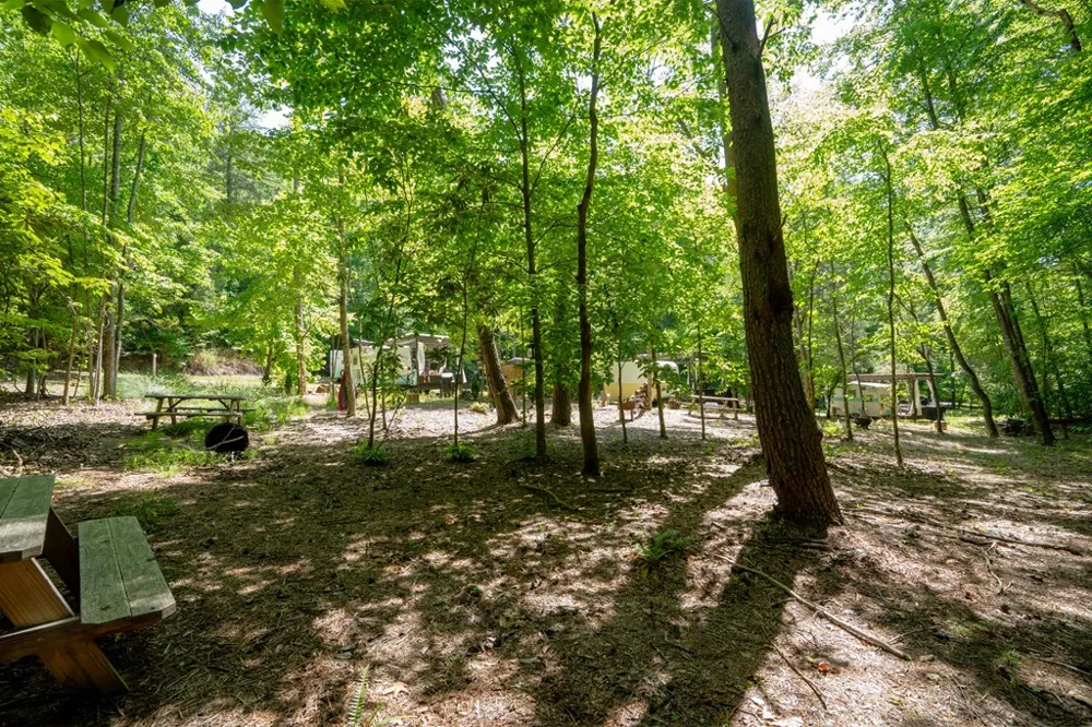 Camp Ultima Franklin, NC 28734