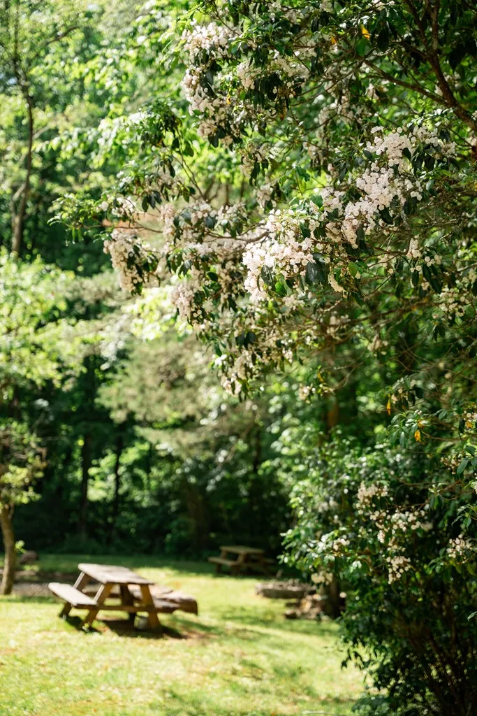 Camp Ultima Franklin, NC 28734