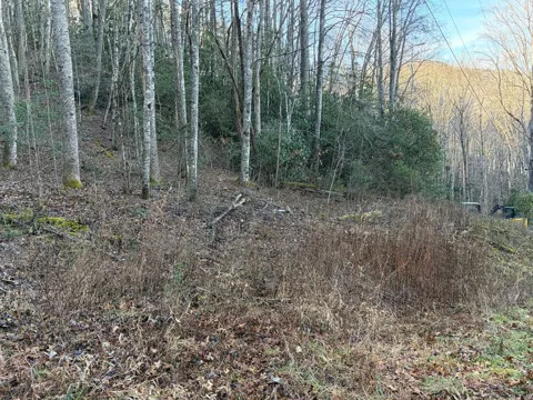 00 Choga Trail