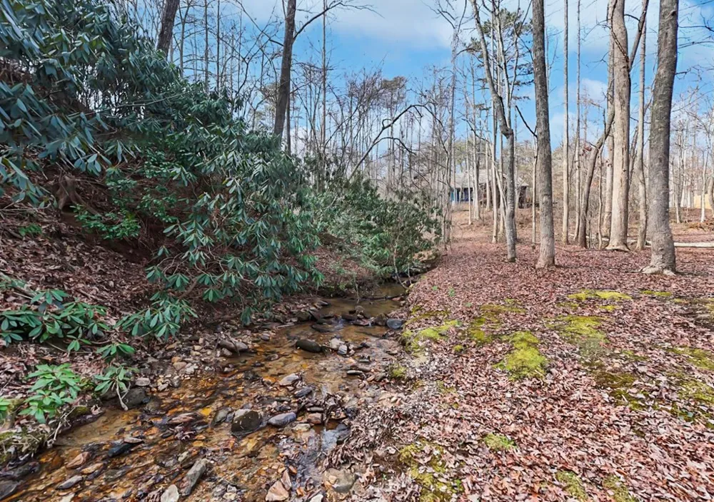 95 Breezy Brook Lane #5 Hayesville, NC 28904