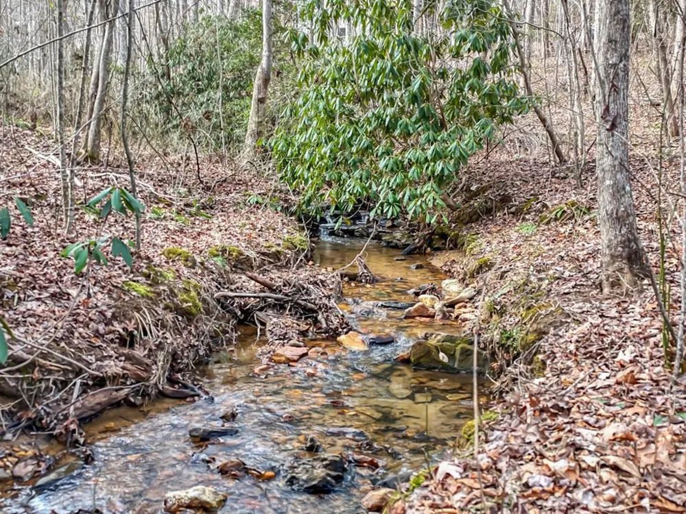 95 Breezy Brook Lane #5 Hayesville, NC 28904