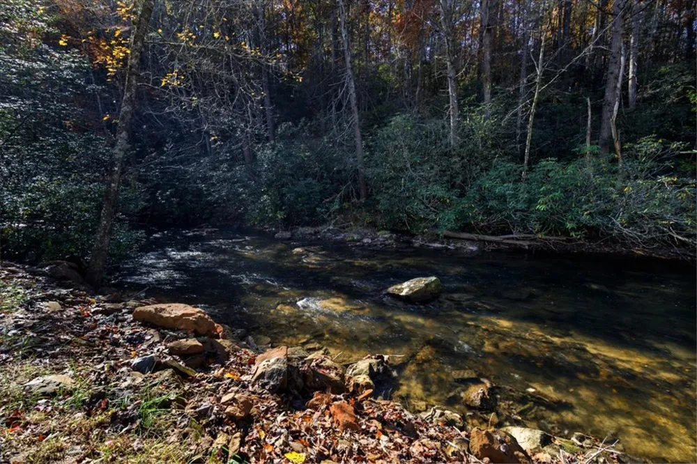 163 Cherokee Path Blue Ridge, GA 30513