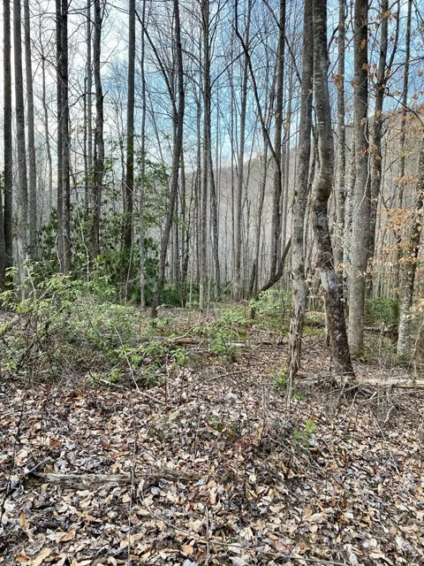00 Carringer Road