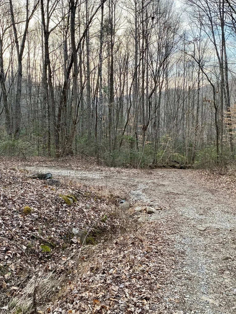 00 Carringer Road Robbinsville, NC 28771