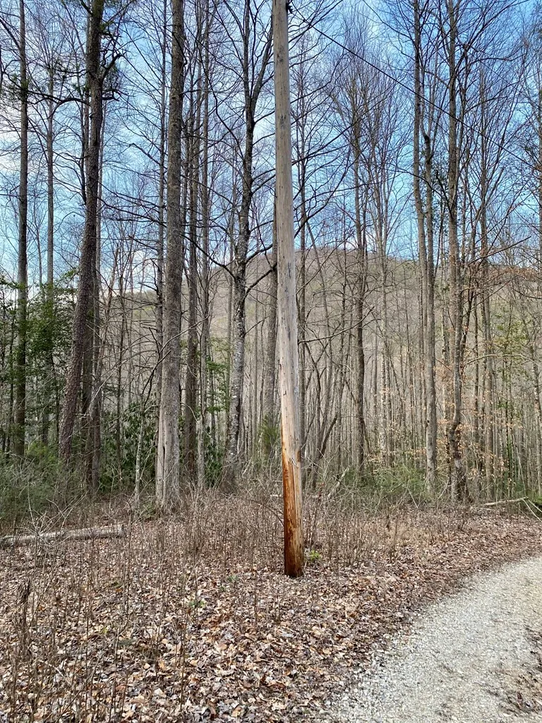 00 Carringer Road Robbinsville, NC 28771