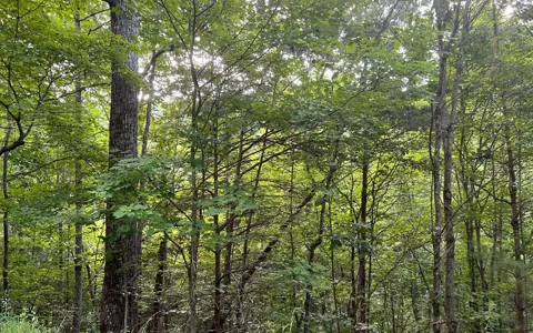 Lot 13 The Preserve