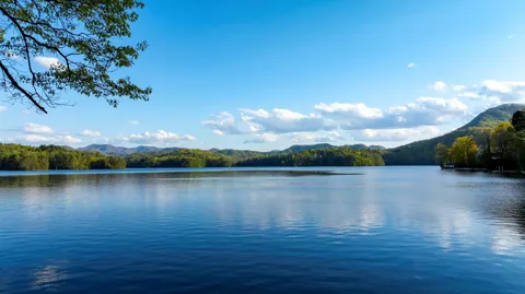 10 Santeetlah Lakeside