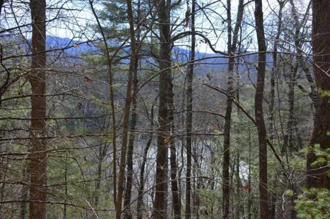 00 Chestnut Ridge