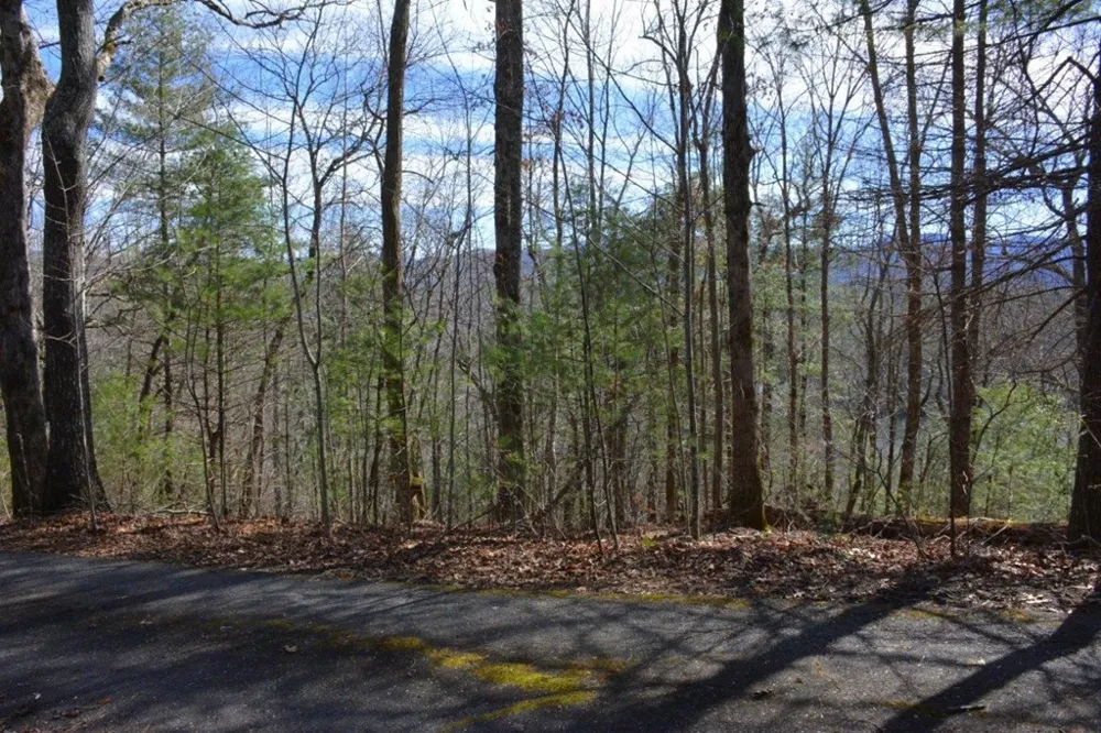 00 Chestnut Ridge Robbinsville, NC 28771