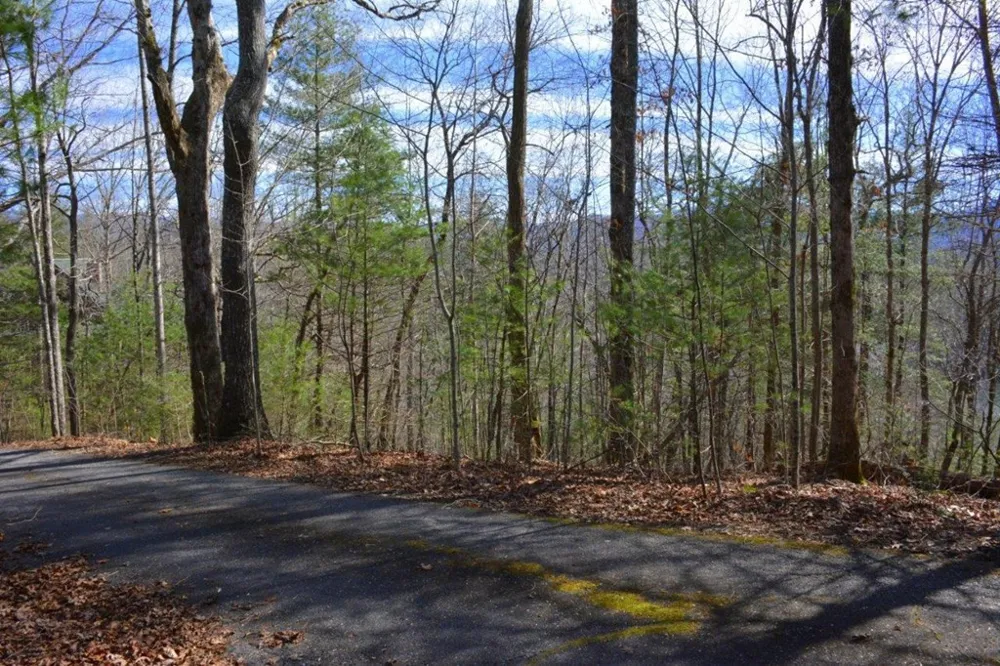 00 Chestnut Ridge Robbinsville, NC 28771